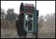 Using a pay phone