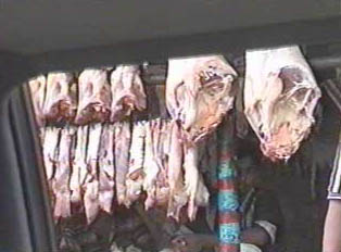 Racks of fresh raw meat hung in an open-air bazaar