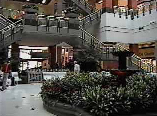 Inside the mall