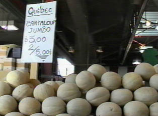 Melon stand in an open air  market