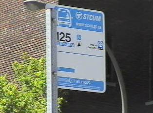 Bus stop signs include a bus number