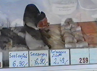 Seafood display with prices