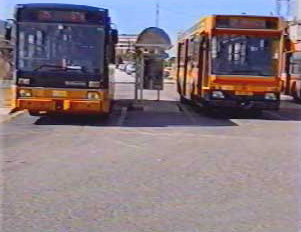 Local buses at a bus stop