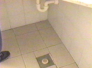 Tap the button on the floor to activate water in the basin