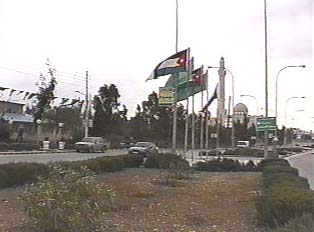 Country flags outside of municipal building