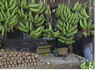 Ndizi za kupika na viazi Ulaya  (plantains and irish potatoes)