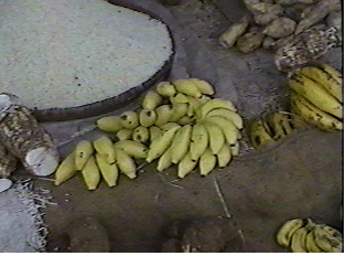 Little bananas