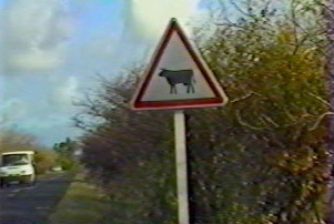 Livestock crossing