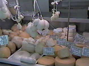 An assortment of cheeses for sale