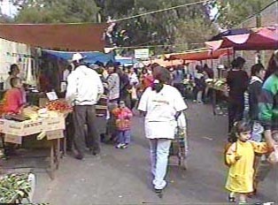 Several shoppers and families shopping at an open market, featuring several vendors and produce stands