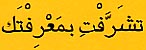 Follow this link to hear this phrase in Arabic
