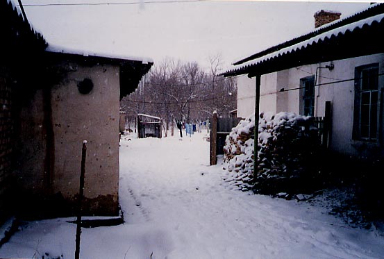 Landscape of a village in winter